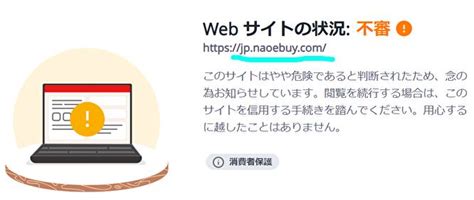 【naoebuy】は怪しい通販？口コミ・評判は？サイトの安全性を解説！ Absorption