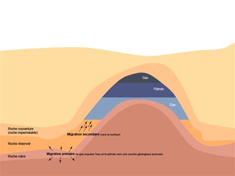 Le P Trole Migration Primaire Et Secondaire Du P Trole Conduisant