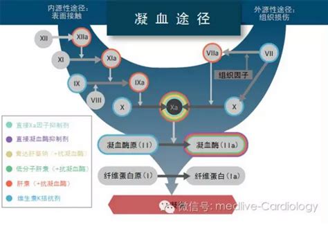 图文 抗凝相关出血的管理流程指 南医心网