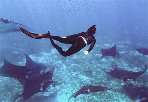 Manta Point Komodo National Park - Komodo Touristic