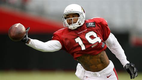 Ted Ginn Hopes To Give Cardinals Different Dimension