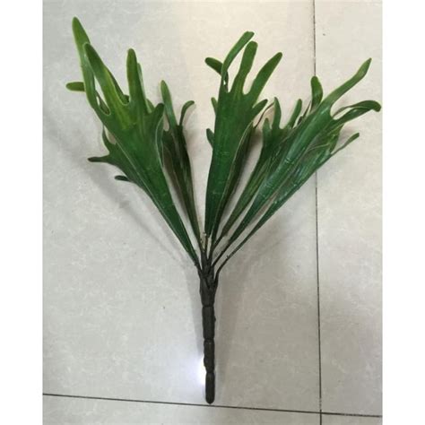 Jual Tanaman Hias Dekorasi Daun Tanduk Rusa Grup X Latex Tanduk Rusa