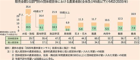 （1）基幹的農業従事者：農林水産省