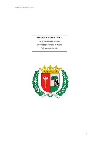 Derecho Procesal Penal Pdf