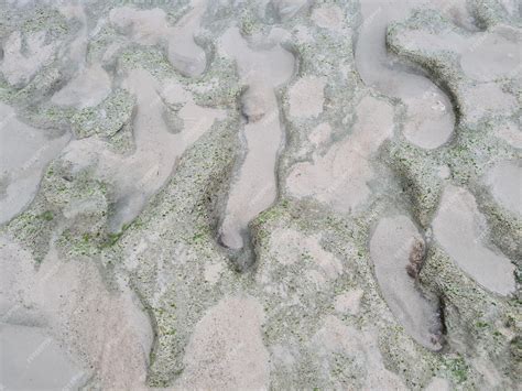 Premium Photo | Sand texture of a coral reef beach in indonesia