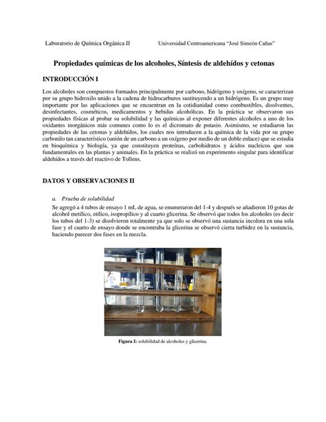 SOLUTION Prueba De Laboratorio Alcoholes Aldeh Dos Y Cetonas Studypool