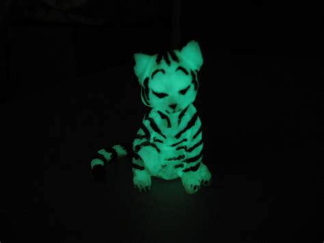 Glowing Cat By Belinda92 On Deviantart