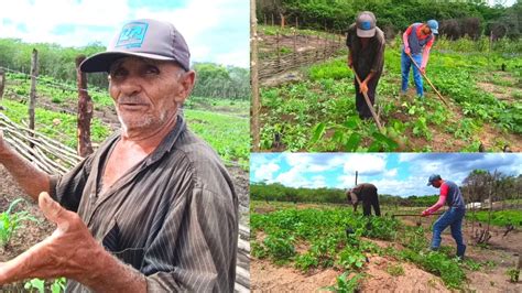 Dia de Trabalho no MINI SÍTIO Limpando o Milho e Feijão Plantando