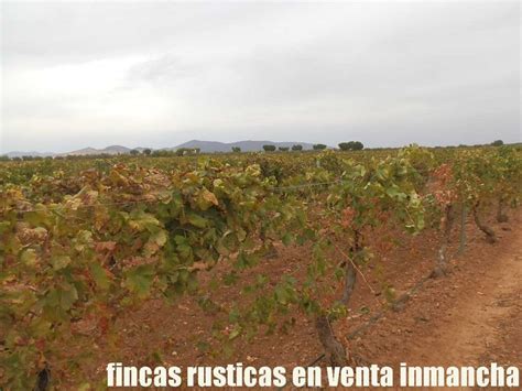 Fincas Inmancha Vi A Riego En Malagon Soloagrofincas