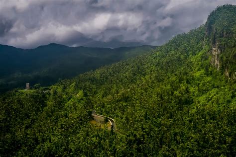 el-yunque-national-forest – Playeasy Stories