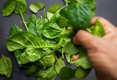 How To Grow Spinach Market Garden Guides