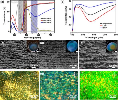 Chiral Nematic Composite Films With Different Pbg Assembled From Cncs