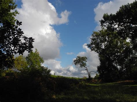 Parc naturel régional des Landes de Gascogne Regionaler Flickr