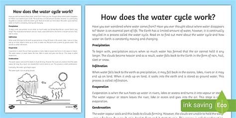 How Does the Water Cycle Work? - Water Cycle Information