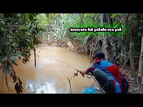 Ya Tuhan Niat Mancing Ikan Di Sungai UMPANku JADI REBUTAN IKAN BABON