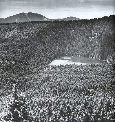 ALFERIOVÁ, Hedi (1914-2001) - Kohoutikriz.org