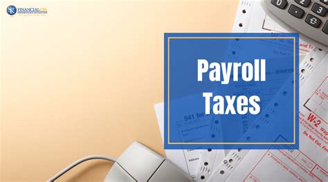 Basic Payroll Taxes Payroll Tax Vs Income Tax