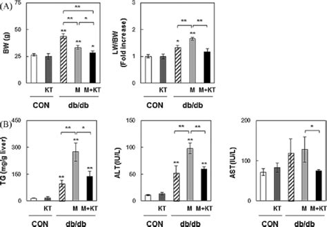 Kt Improves Liver Function In Mcd Fed Dbdb Mice A Body Weight Bw