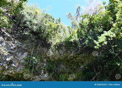 Fern Grotto At Wailua River State Park On Kauai Island In Hawaii Stock