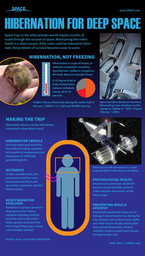 How Astronaut Hibernation for Deep-Space Travel Works (Infographic) | Space