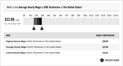 Ekg Technician Salary Actual 2024 Projected 2025 Velvetjobs