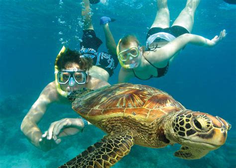 Green Island Great Barrier Reef Snorkelling Great Adventures