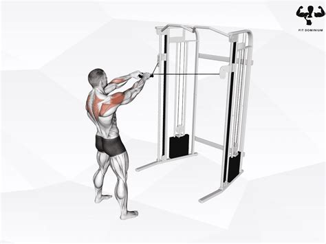 10 Functional Trainer Exercises For Strength (With Free PDF) – FitDominium