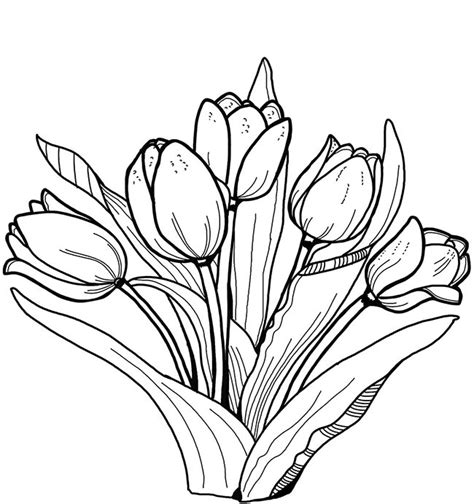 31 Desenhos De Tulipa Flores Para Imprimir E Colorir Pintar