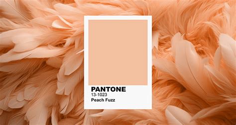 La couleur Pantone de l année 2024 comment styliser Peach Fuzz dans