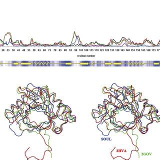 Figure S1 Comparison Of The Models Of Human SOUL And Murine P22HBP A