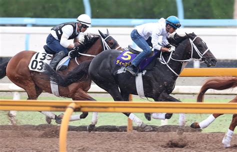 【宝塚記念】ディープボンドが幸騎手を背に好時計、悲願g1制覇へ「京都の下り坂は合う」 競馬写真ニュース 日刊スポーツ