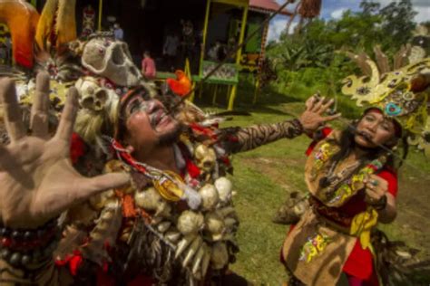 Atraksi Gigit Mandau Pria Dan Wanita Dayak Saat Festival Budaya Dayak