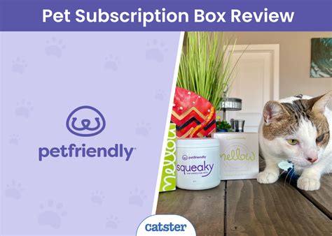 Petfriendly Subscription Box Review A Detailed Look Catster