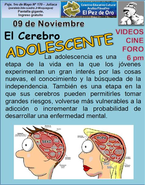 Ccepo El Cerebro Adolescente