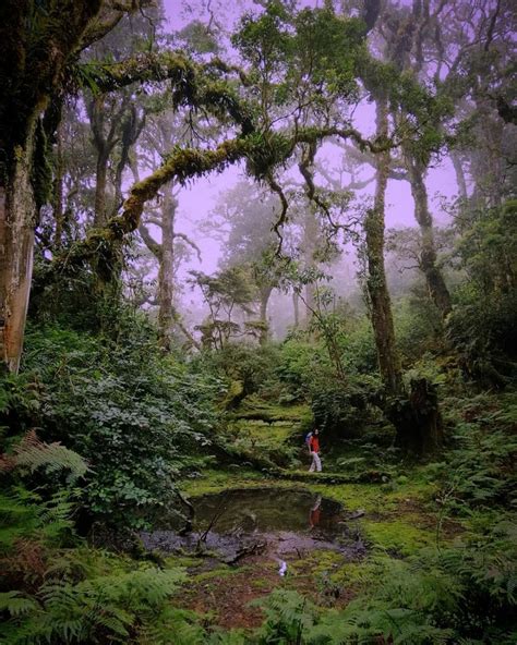 9 Potret Taman Nasional Manusela Wisata Alam Sejuta Pesona