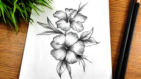 How to Draw a Easy Flower Step by Step | Easy Pencil Drawing for ...