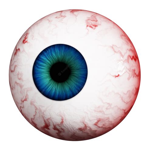 Premium Photo Human Eye Isolated On A White Background Realistic