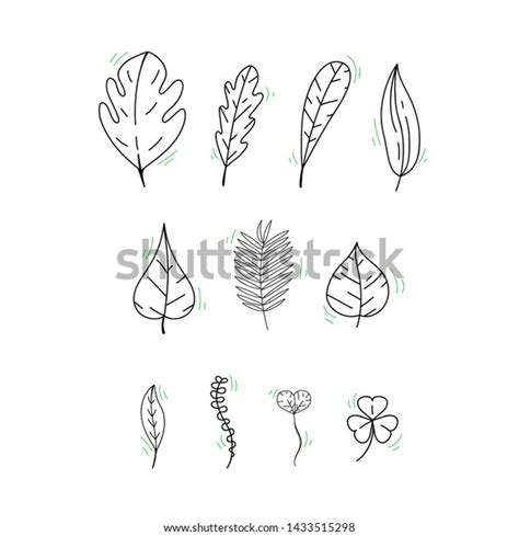 Hand Drawn Leaf Illustration Collection Stock Vector Royalty Free