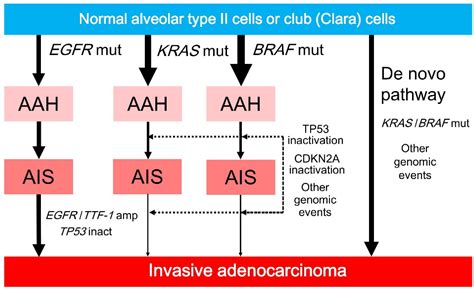 Ijms Free Full Text Clinicopathological Characteristics And Mutations Driving Development Of