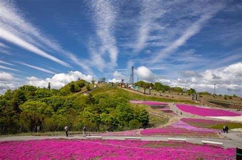 【保存版】愛知県ドライブデート50選！愛知県出身者おすすめのフォトジェニック・史跡・レジャー・アウトドア・自然スポット｜アニーお祝い体験マガジン