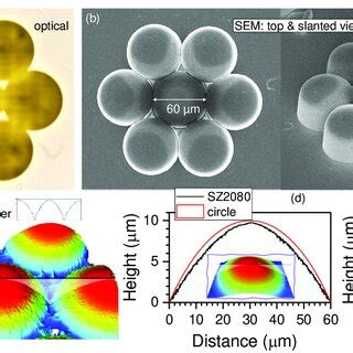 Optical microscopy imaging in the visible spectral range under white... | Download Scientific ...