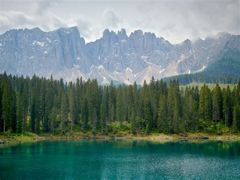 Tree Line At Mountain Lake Wallpaper