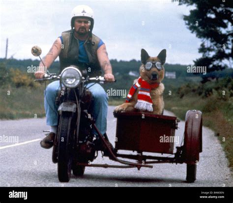 Dog sidecar hi-res stock photography and images - Alamy