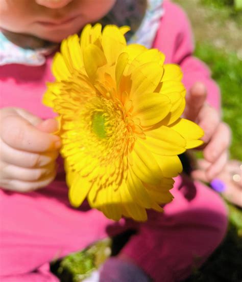 Il Piccolo Principe e la... - Il Piccolo Principe e la Rosa