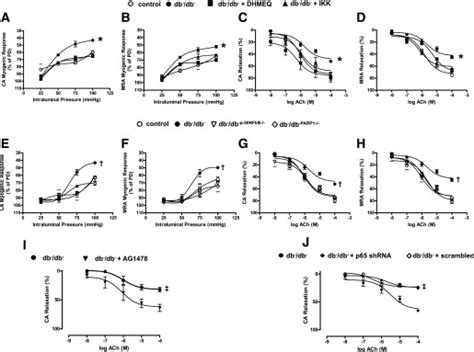 Effect Of The Nf Kb Inhibition On Myogenic Tone And Edr In Coronary And