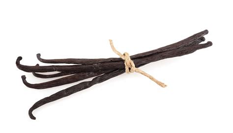 Madagascar Vanilla Beans - Grade A Pods For Baking & Extract Making – Vanilla Bean Kings