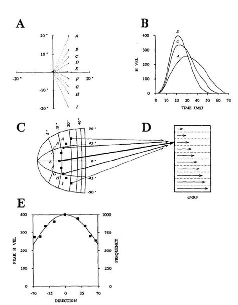 Examples Of Nine Saccades All Having 8° Rightward Horizontal Components