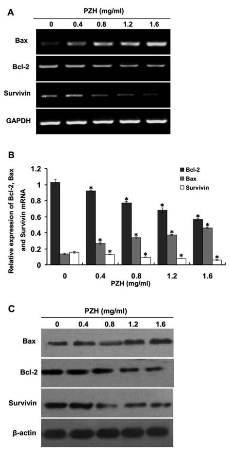 Pien Tze Huang Induces Apoptosis In Multidrugresistant U2OS ADM Cells