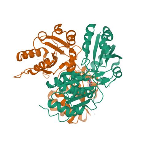 Rcsb Pdb Hr Crystal Structure Of Ph From Pyrococcus Horikoshii Ot