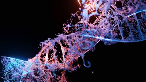 Control Of Gene Expression Diagram Quizlet